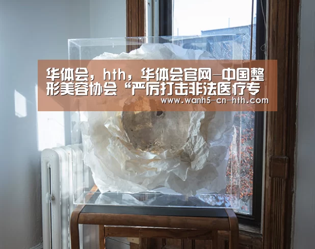 华体会,hth,华体会官网-中国整形美容协会“严厉打击非法医疗专项行动方案”会长扩大会议(图2) 华体会,hth,华体会官网