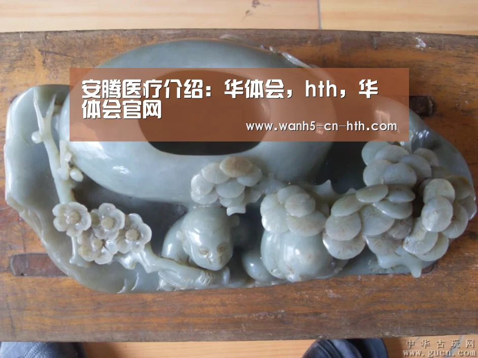 安腾医疗介绍:华体会,hth,华体会官网(图3) 华体会,hth,华体会官网